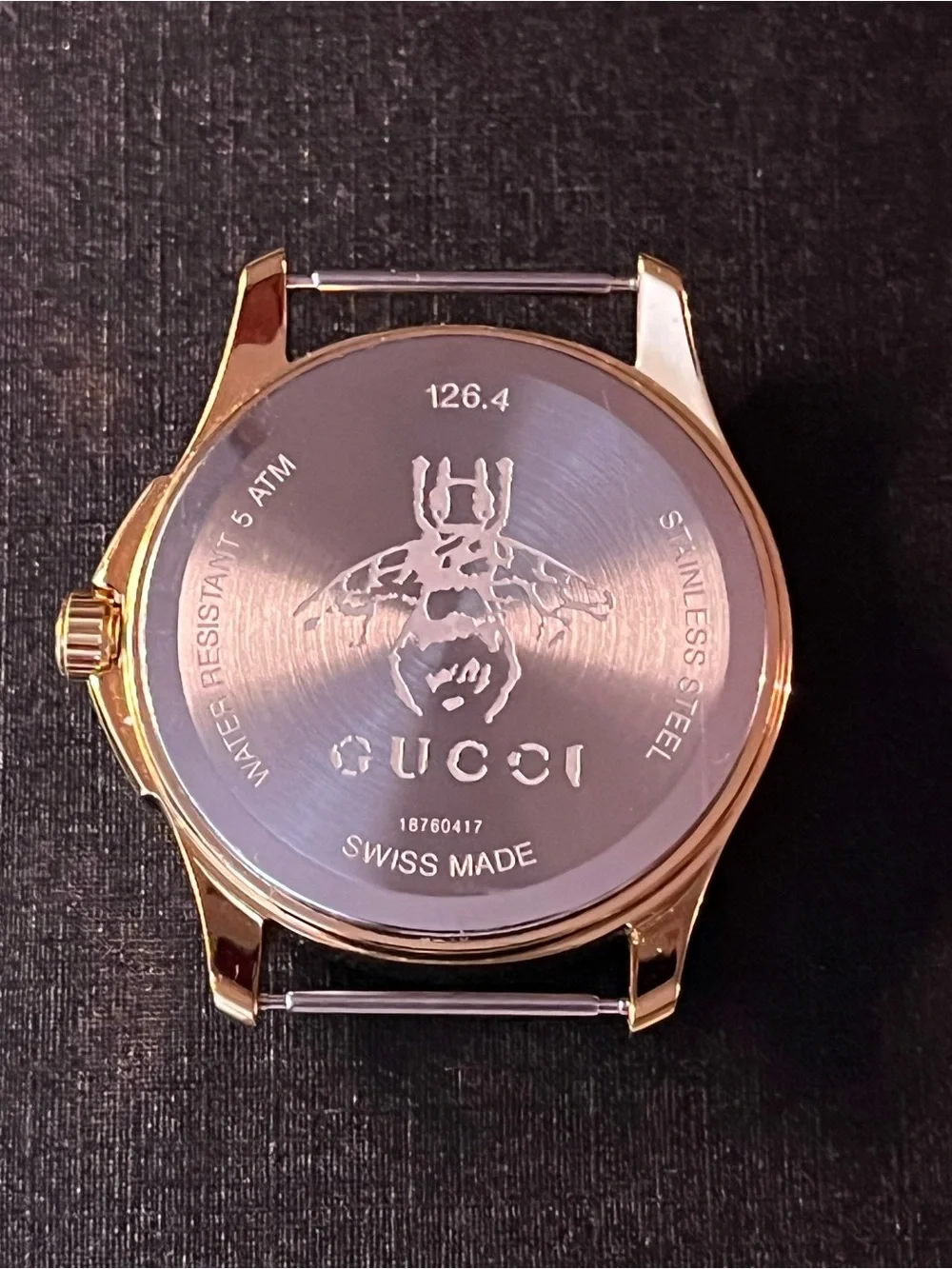 Gucci brand model